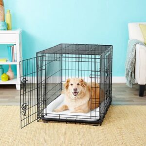 Frisco Fold & Carry Double Door Collapsible Wire Dog Crate, 36 inch, Med/L