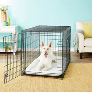 Frisco Fold & Carry Double Door Collapsible Wire Dog Crate, 48 inch, X-Large