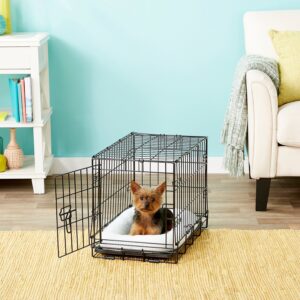 Frisco Heavy Duty Fold & Carry Single Door Collapsible Wire Dog Crate 22 inch, X-Small