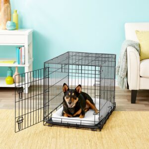 Frisco Heavy Duty Fold & Carry Single Door Collapsible Wire Dog Crate 30 inch, Medium