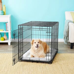 Frisco Heavy Duty Fold & Carry Single Door Collapsible Wire Dog Crate 36 inch, Med/L