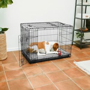 Frisco Heavy Duty All-in-1 Multi-Stage 3 Door Collapsible Wire Dog Crate, 37 inch, Med/L