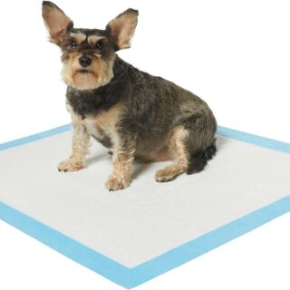 Frisco Unscented 10 Count Extra Large Dog Training & Potty Pads, 28 x 34-in