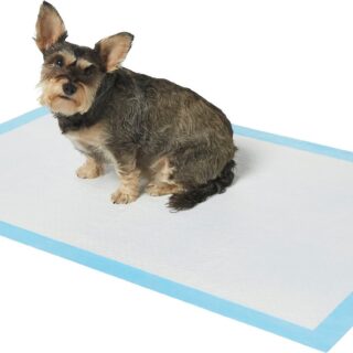 Frisco Unscented 5 Count Giant Dog Training & Potty Pads, 27.5 x 44-in