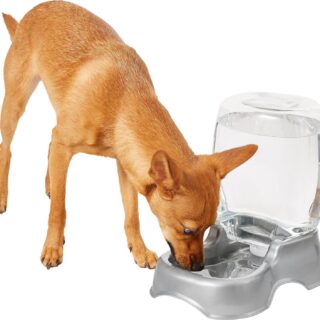 Frisco Gravity Refill Pet Waterer, Small