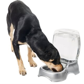 Frisco Gravity Refill Pet Waterer, Medium