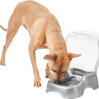 Frisco Gravity Refill Pet Waterer, Large