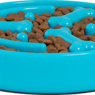 Frisco Bone Shaped Ridges 3 Cups Slow Feed Bowl, Blue