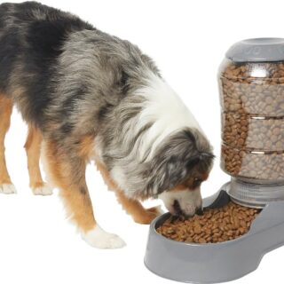 Frisco Circular Gravity 10 Cups Refill Dog & Cat Feeder