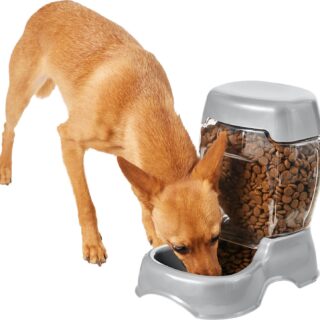 Frisco Gravity Small Refill Pet Feeder