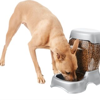 Frisco Gravity Large Refill Pet Feeder