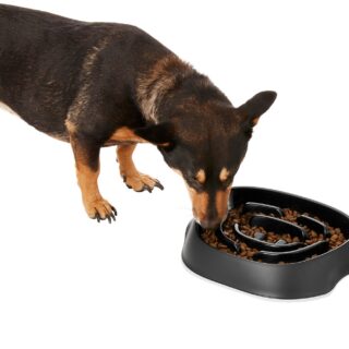 Frisco Non-Skid Slow Feeder Dog & Small Pet Bowl