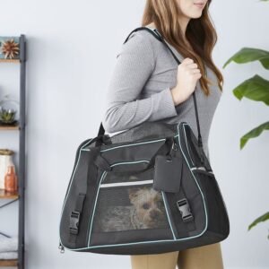 Frisco Basic Small/Medium Dog & Cat Carrier Bag, Black, Teal Trim