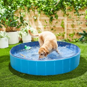 Frisco Outdoor Dog Swimming Pool, X-Large