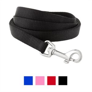 Frisco Solid Nylon Dog Leash, Black, Small