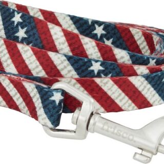 Frisco American Flag Polyester Dog Leash, Small: 6-ft long