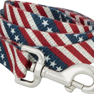 Frisco American Flag Polyester Dog Leash, Medium: 6-ft long