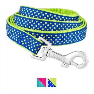 Frisco Patterned Nylon Dog Leash, Lime Polka Dot, Medium: 4-ft long,