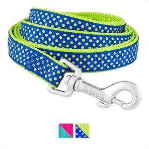 Frisco Patterned Nylon Dog Leash, Lime Polka Dot, Medium: 6-ft long