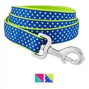 Frisco Patterned Nylon Dog Leash, Lime Polka Dot, Large: 4-ft long