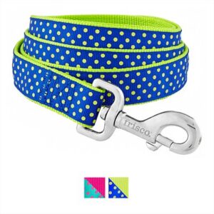 Frisco Patterned Nylon Dog Leash, Lime Polka Dot, Large: 6-ft long