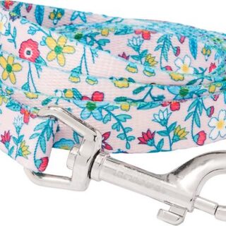 Frisco Spring Floral Polyester Dog Leash, Small: 6-ft long, 5/8-in wide