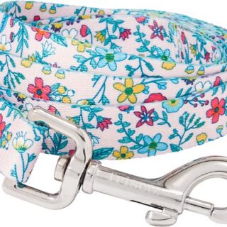 Frisco Spring Floral Polyester Dog Leash, Medium: 6-ft long, 3/4-in wide