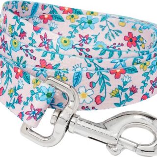 Frisco Spring Floral Polyester Dog Leash, Large: 6-ft long, 1-in wide