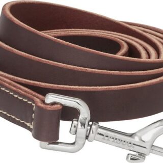 Frisco Top Grain Leather Leash, Width: 5/8th'', Length 6ft, Latigo