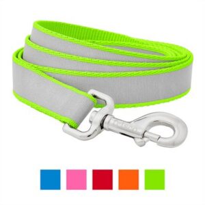 Frisco Solid Polyester Reflective Dog Leash, Lime, Large: 6-ft long, 1-in wide