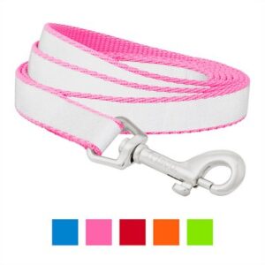 Frisco Solid Polyester Reflective Dog Leash, Pink, Small: 6-ft long, 5/8-in wide