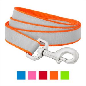 Frisco Solid Polyester Reflective Dog Leash, Orange, Large: 6-ft long, 1-in wide