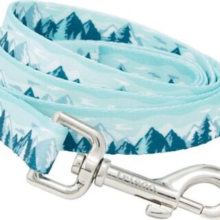 Frisco Mountain View Dog Leash, Medium: 6-ft Long, 3/4-in Wide