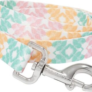 Frisco Pastel Tie Dye Polyester Dog Leash, Large: 6-ft long, 1-in wide