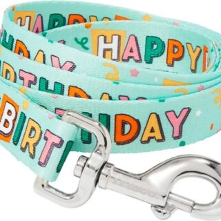 Frisco Happy Birthday Polyester Dog Leash, Large: 6-ft long, 1-in wide