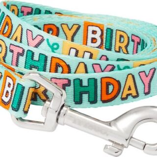 Frisco Happy Birthday Polyester Dog Leash, Small: 6-ft long, 5/8-in wide