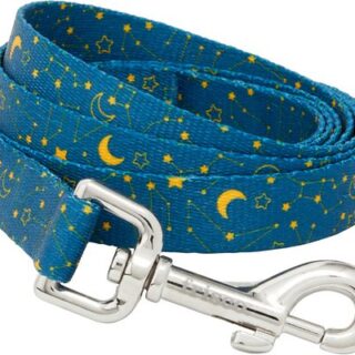 Frisco Constellations Dog Leash, Small: 6-ft Long, 5/8-in Wide