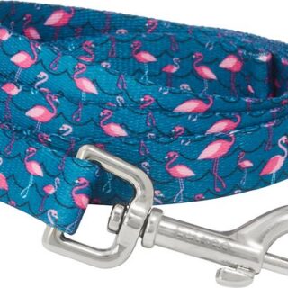 Flamingos Dog Leash, SM - Length: 6-ft, Width: 5/8-in