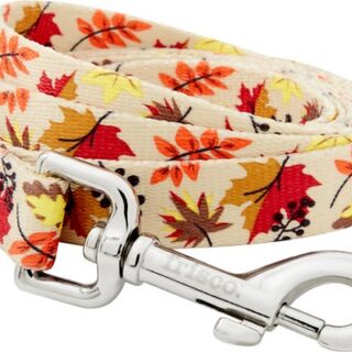 Frisco Leaves Polyester Dog Leash, Medium: 6-ft long, 3/4-in wide