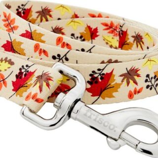 Frisco Leaves Polyester Dog Leash, Large: 6-ft long, 1-in wide