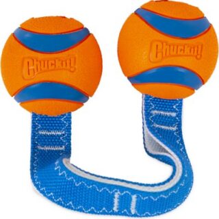 Chuckit! Ultra Duo Tug Tough Dog Toy, Medium