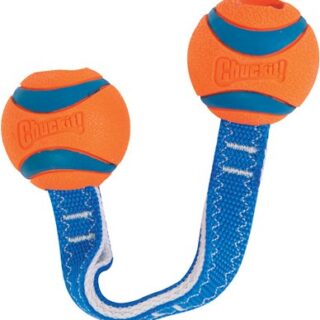 Chuckit! Ultra Duo Tug Tough Dog Toy, Small