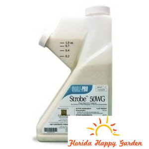 Strobe 50WG Systemic Fungicide