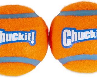 Chuckit! Double Pack Dog Tennis Ball Dog Toy, Medium