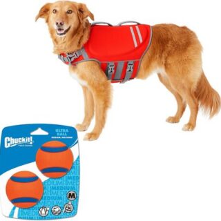 Bundle: Frisco Neoprene Life Jacket + Chuckit! Ultra Rubber Ball Tough Dog Toy, Medium