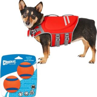 Frisco neoprene dog outlet life jacket