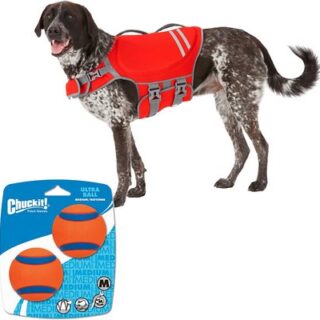 Bundle: Frisco Neoprene Life Jacket + Chuckit! Ultra Rubber Ball Tough Dog Toy, Medium