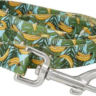 Tropical Bananas Dog Leash, SM - Length: 6-ft, Width: 5/8-in