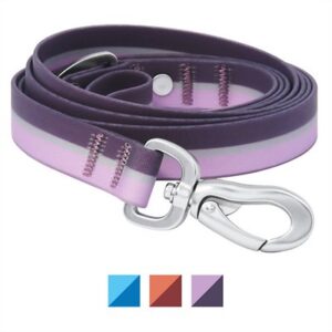 Frisco Outdoor Two Toned Waterproof Stink Proof PVC Dog Leash, Boysenberry Purple, Small - Length: 6-ft, Width: 5/8-in