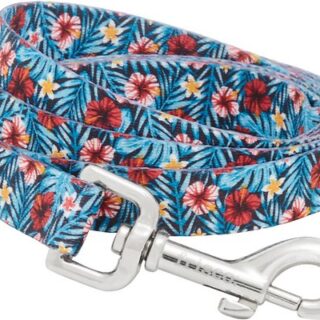 Frisco Hawaii Nights Dog Leash, SM - Length: 6-ft, Width: 5/8-in